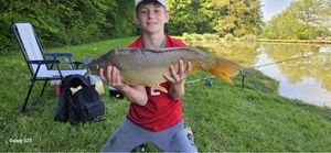 Mirror Carp