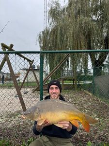 Mirror Carp