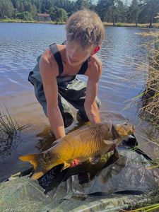 Mirror Carp