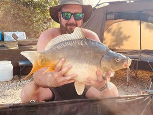 Mirror Carp