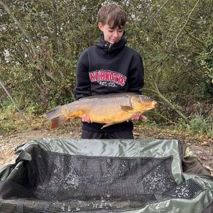 Mirror Carp
