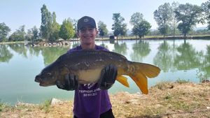 Mirror Carp