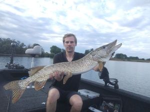 Northern Pike