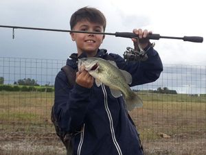 Smallmouth Bass