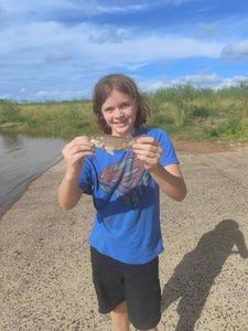 Golden Perch