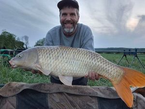 Common Carp