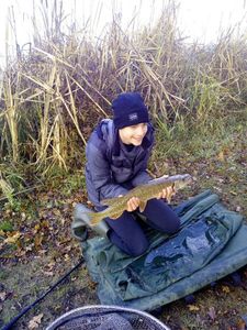 Northern Pike