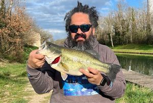 Largemouth Bass