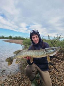 Northern Pike