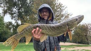 Northern Pike