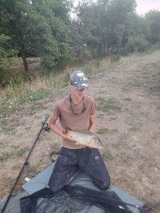Mirror Carp