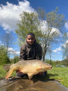 Mirror Carp