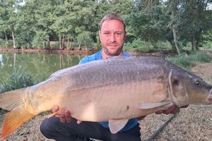 Mirror Carp