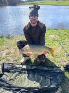 Mirror Carp