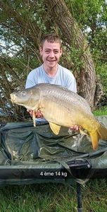 Mirror Carp