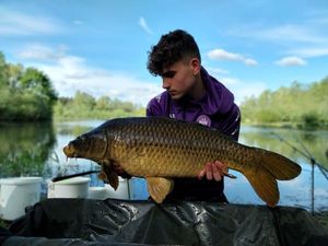 Common Carp