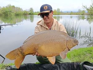 Mirror Carp