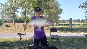 Common Carp