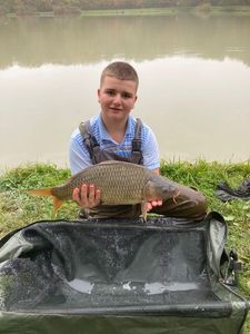 Common Carp