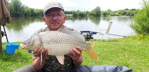 Common Carp