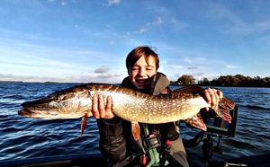 Northern Pike
