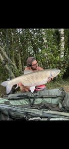 Grass Carp