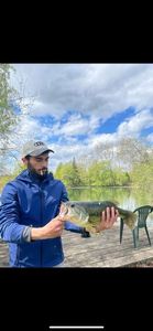 Largemouth Bass