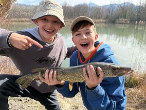 Northern Pike