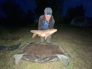 Mirror Carp