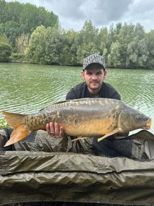 Mirror Carp