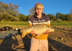 Common Carp