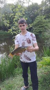 Tench