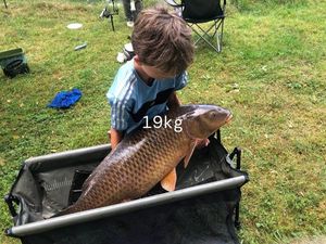 Common Carp