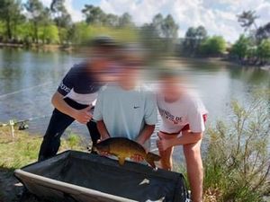 Common Carp