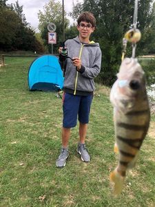 European Perch