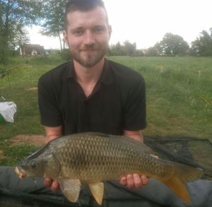 Common Carp