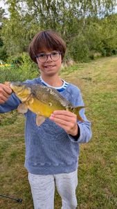 Mirror Carp