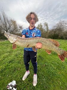 Northern Pike