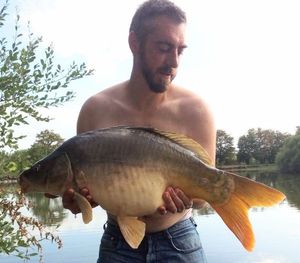 Mirror Carp
