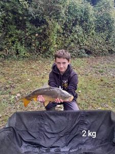 Mirror Carp