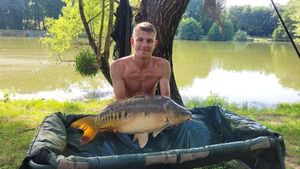 Mirror Carp