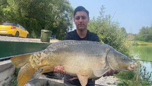 Mirror Carp
