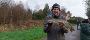 Northern Pike