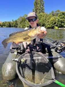 Largemouth Bass