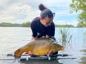 Mirror Carp