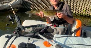 Zander