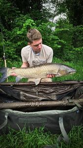 Grass Carp