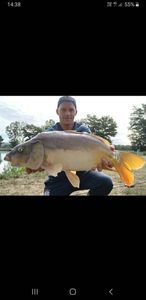 Leather Carp