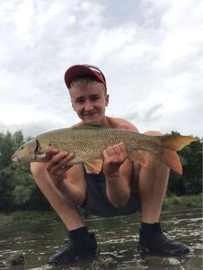 Barbel