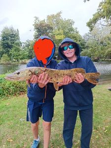 Northern Pike